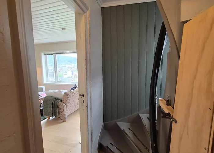 Penthouse With Garden And Amazing View, Leilighet *